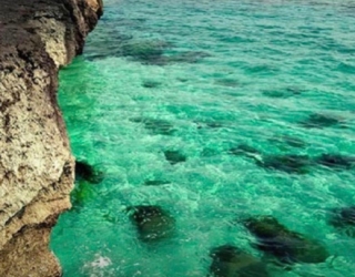 EFFF2B19-938A-4E8D-BAC0-F66DA1783AC2