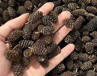 ۲۰۲۵۱۲۳۱_۲۰۳۸۳۰