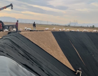 photo_2022-11-23_11-11-38 (3)