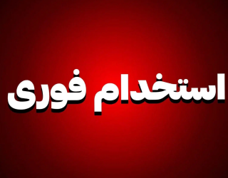 استخدام نیرو