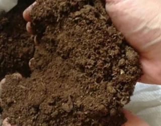 1a4c078d-e850-443d-9323-cbae1817f8c8