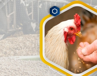 899976b6-db28-470e-a416-ce349801c0ac-KHORAK_DAM