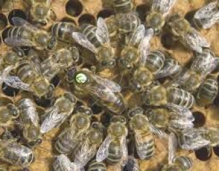 IMG_20251214_053331_068