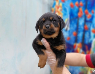 photo_2026-02-10_08-20-50