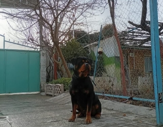 photo_2026-02-10_08-20-54