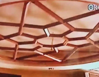 1005250229_106215168