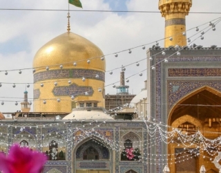 43BAA32B-DD4A-4756-B444-D08E8F67ED6A