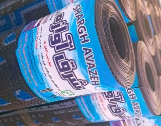 IMG_20260215_151249_837