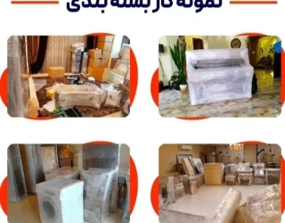 IMG_20260220_235813_050