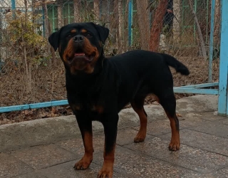 photo_2026-02-04_23-36-58