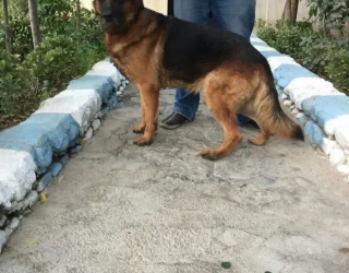 photo_2026-02-05_19-23-05