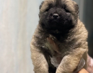 photo_2026-02-05_22-32-13