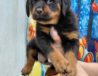 photo_2026-02-10_08-20-53