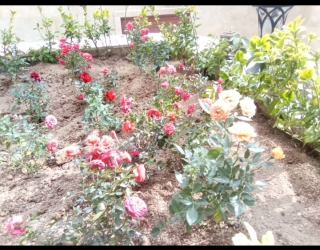 Screenshot_۲۰۲۶۰۲۲۴-۱۹۴۶۲۵_WhatsApp