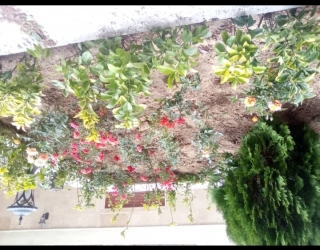 Screenshot_۲۰۲۶۰۲۲۴-۱۹۴۶۳۴_WhatsApp