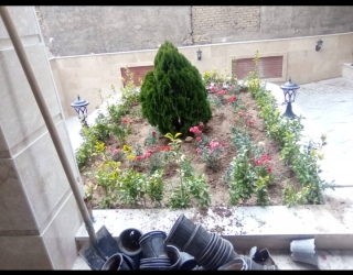 Screenshot_۲۰۲۶۰۲۲۴-۱۹۴۶۴۶_WhatsApp