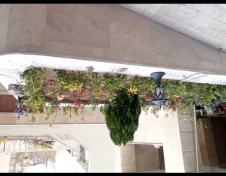 Screenshot_۲۰۲۶۰۲۲۴-۱۹۴۶۵۹_WhatsApp