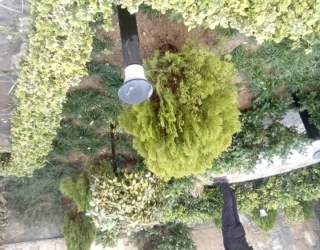 Screenshot_۲۰۲۶۰۲۲۴-۱۹۴۷۱۱_WhatsApp