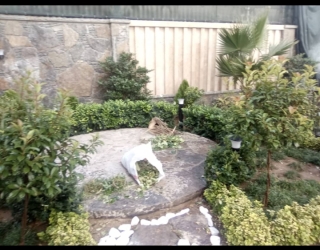 اجرای فضای سبز