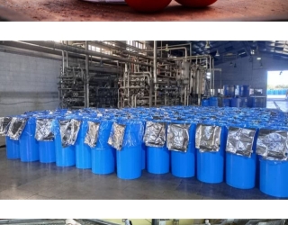 IMG_۲۰۲۶۰۲۱۹_۱۷۲۵۳۲