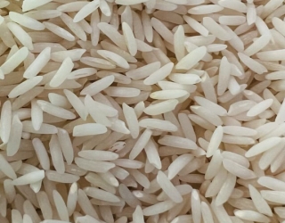 081CF0E8-C13C-4E19-BD03-6DC1ACBCFA00