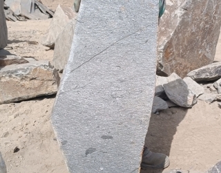 1000208860