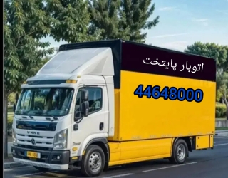 1000115252