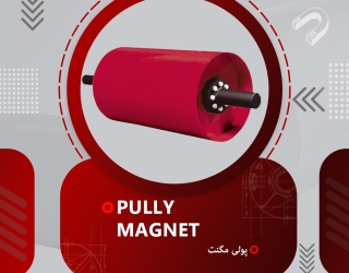 پولی مگنت