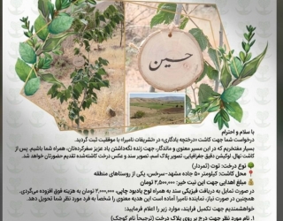 درخچه یادبود نامیرا