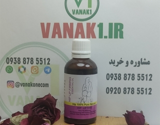 hip-up-vanak1