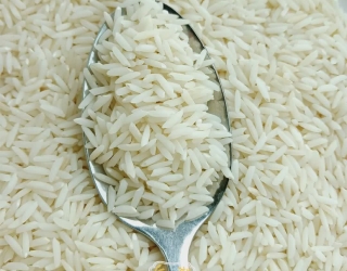 فروش محصولات کشاورزی 🚜 