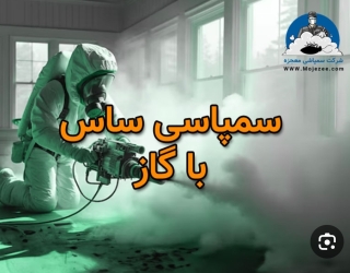سمپاشی تخصصی نوین پاک