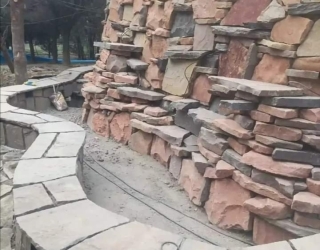 1001012629