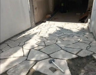 1001012631