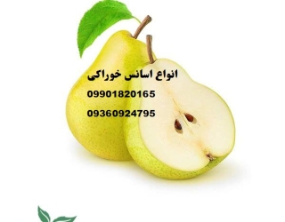 محمدرضا سرکاری