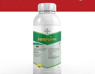 خرید سم Firefly 155، تضمینی برای جلوگیری از قارچ در گندم و جو