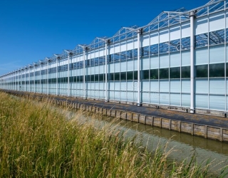 diminishing-perspective-view-greenhouse-westland-ne-commercial-glass-greenho (6)