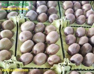 قیمت-کیوی-عمده