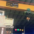 احمد  معصومی  - avatar